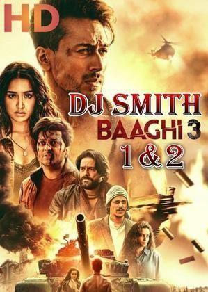 Dj smith baaghi part 3b