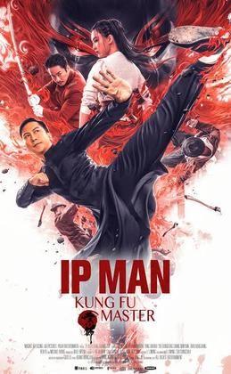 Dj smith ip man kungfu master