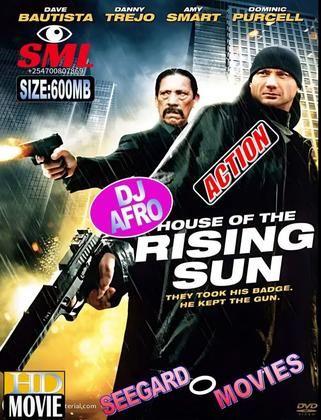 Dj afro  house of rising sun